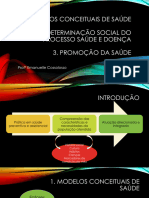 Modelos Conceituais de Saúde, Determinação Social Do Processo Saúde e Doença, Promoção Da Saúde