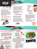 646157838-Triptico Del Dengue