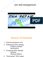 DNA Repair (Lec 7)