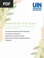 Desarrollo de 18-36 Meses