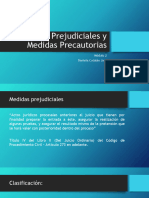 Medidas Prejudiciales y Medidas Precautorias