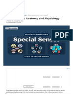 Special Senses Anatomy and Physiology - Nurseslabs