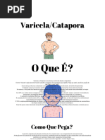 Catapora