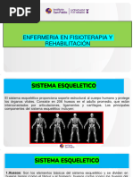 Fisioterapia Sistemas y Terminologia