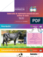 PROYECTO FINAL Alimentacion Animal