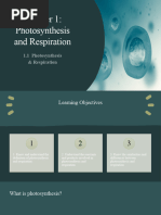Grade 9-Photosynthesis and Respiration