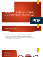 Aparato Reproductor Masculino y Femenino