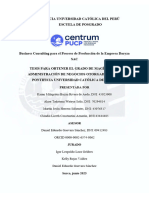 Business Consulting para El Proceso de Producción de La Empresa Daryza SAC (1) - Bazán