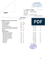 Rapport N°19870095