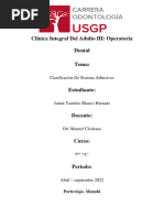 Clasificación de Sistema Adhesivos