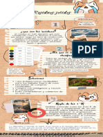 Infografía de Proceso Proyecto Collage Papel Marrón