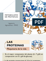 Proteinas 2024 IA