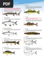 Pg1 2 Sport Fish Identification