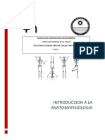 Introduccion Anatomofisiologia