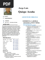 CV Jorge Cobranzas