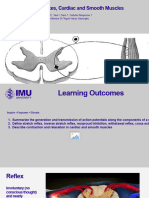Reflexes, Cardiac and Smooth Muscles - Physiology
