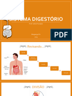 S. Digestorio 07 11 Usado para Aula Prática