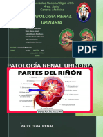 Presentación PATOLOGIA RENAL URINARIA