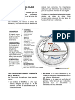 4B Tema 2 CCSS 1ero