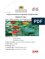 Rapport de Stage Tomate Cerise