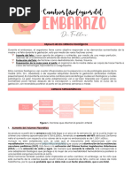 OB02-Cambios Fisiológicos Durante El Embarazo