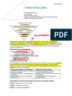 Resumen Producción Limpia