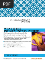 Integumentary System