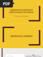 Abordajes Quirurgico Esp. Ortopedia