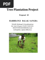 Tree Plantation Project