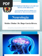 Neurologia Sindromes de La Corteza & Sustancia Blanca