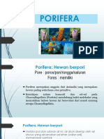 Mk. Avertebrata Laut Phylum Porifera 2023 PDF