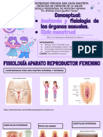 Sexualidad T3 - Semana 3