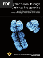 A Layman's Walk Through Basic Canine Genetics and Genetic Diseases