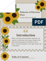 Patterns of Electron Flow Through Light Reaction Events