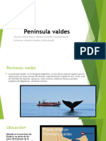 Peninsula Valdes