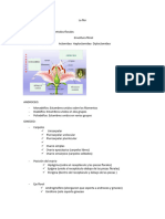 Examen Susti Botanica 03-04