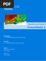 Consolidado 2 - Mecánica de Fluidos 2