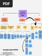 Mapa Conceptual La Persona Humana y El Estado