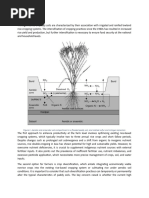 Paddy Soil