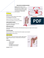 Atlas de Anatomia Depto Anatomia Facultad de Medicina UBA