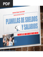 Planillas de Sueldos