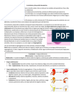 Crecimiento y Desarrollo Intrauterino