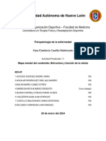 Actividad 1.1 Mapa Mental - Estructura de La Célula