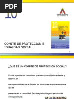 Comite de Protección e Igualdad Social