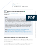 1.1.3 Anatomy of The Pelvis and Perineum