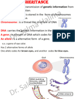 Inheritance PDF