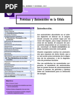 Cabaña, R. Fernández, M. y Urbanek L.C. Proteínas y Aminoácidos en La Célula