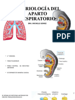 Embriologia Pulmonar