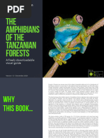 Amphibians of The Tanzanian Forests