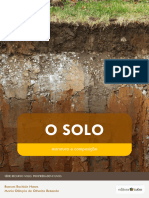 O Solo: Estrutura e Composição